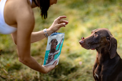 GELOREN Large dog Stawy - żelki dla psa - 420g - Galeria zdjęcie 5