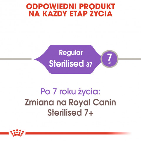 ROYAL CANIN FHN Regular Sterilised 37 - sucha karma dla kota dorosłego - 2 kg - Galeria zdjęcie 3