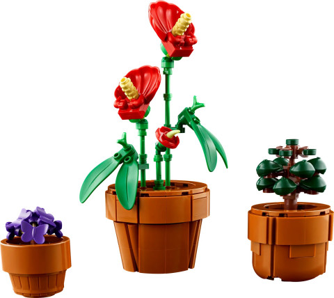 Lego Icons 10329 Małe roślinki - Galeria zdjęcie 5