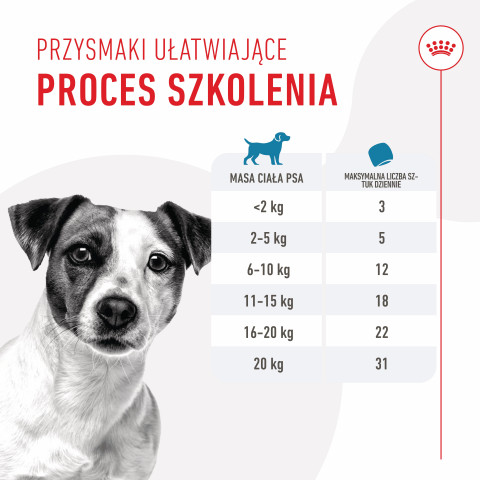 ROYAL CANIN Training Treats - przysmak dla psa - 110g - Galeria zdjęcie 2