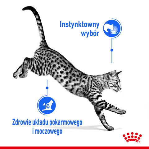 ROYAL CANIN FHN Indoor w sosie - mokra karma dla kota dorosłego - 12x85 g - Galeria zdjęcie 6