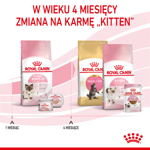 ROYAL CANIN Mother & Babycat 34 2kg - Galeria zdjęcie 12
