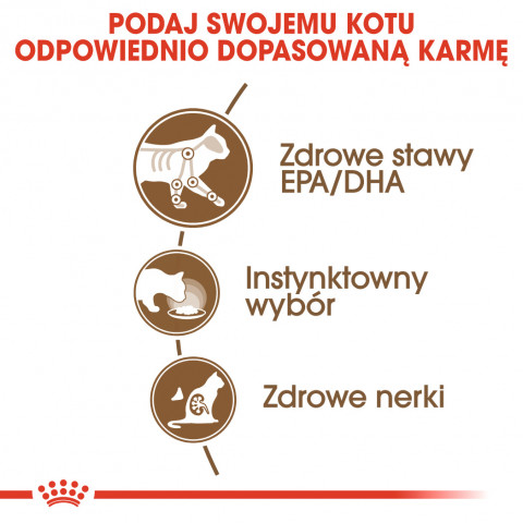 ROYAL CANIN FHN Ageing 12+ w galaretce - mokra karma dla kota starszego - 12x85 g - Galeria zdjęcie 8