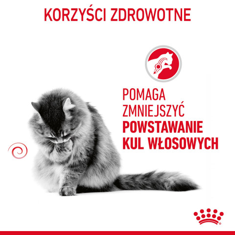 ROYAL CANIN Hairball Care Adult - sucha karma dla kota - 400g - Galeria zdjęcie 8