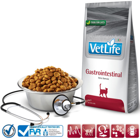 FARMINA Vet Life Gastrointestinal Feline - sucha karma dla kota - 2kg - Galeria zdjęcie 2