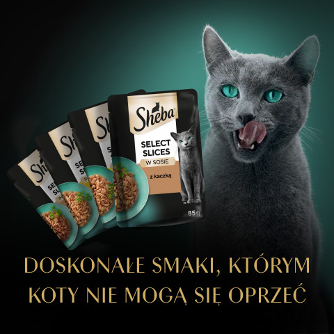 SHEBA Selection Select Slices Drobiowe Smaki - mokra karma dla kota - 40 x 85g - Galeria zdjęcie 7