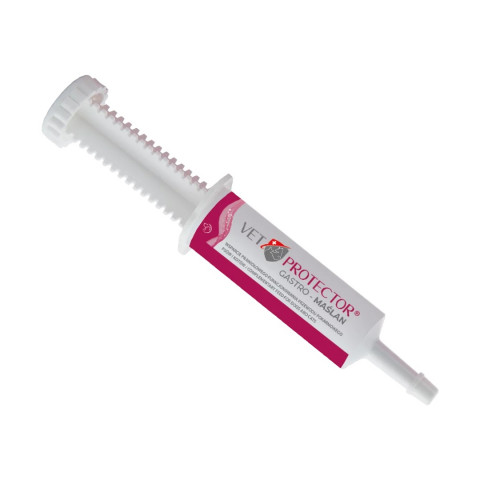 VET PROTECTOR Maślan One - suplementy dla psa i kota - 60ml - Galeria zdjęcie 2