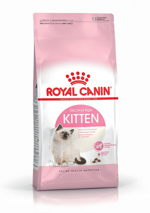 large-royal-c-kitten-34-4kg.jpg