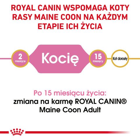 Royal Canin FBN Maine Coon Kitten - sucha karma dla kociąt - 10 kg - Galeria zdjęcie 3