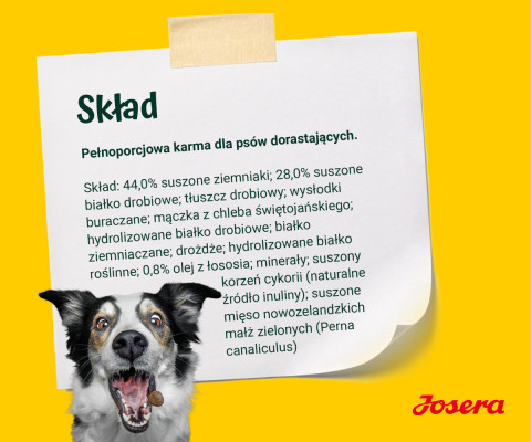 JOSERA Young Star Junior - sucha karma dla psa - 12,5 kg - Galeria zdjęcie 5