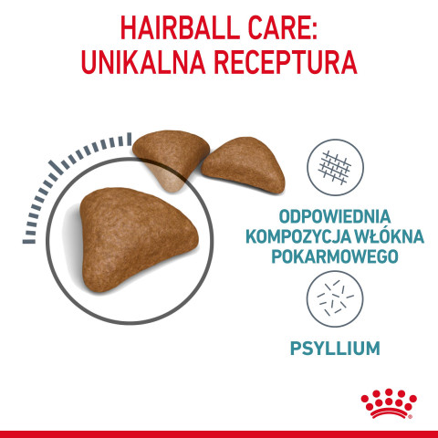 ROYAL CANIN FCN Hairball Care - sucha karma dla kota dorosłego - 10 kg - Galeria zdjęcie 5