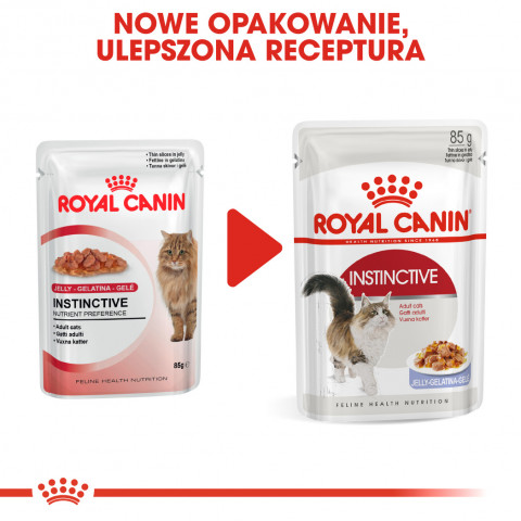 ROYAL CANIN FHN Instinctive w galaretce - mokra karma dla kota dorosłego - 12x85 g - Galeria zdjęcie 7