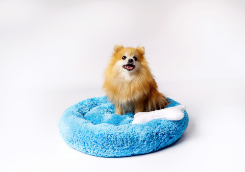 GO GIFT Shaggy niebieski L - legowisko dla zwierząt - 66 x 66 x 10 cm - Galeria zdjęcie 5