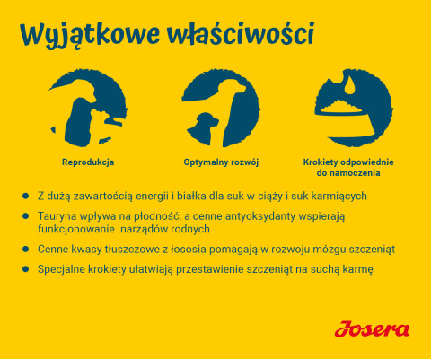 JOSERA Family Plus Puppy - sucha karma dla psa - 12,5 kg - Galeria zdjęcie 2