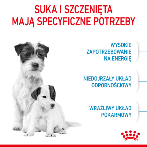 ROYAL CANIN Starter Mini Mother & Babydog - sucha karma dla szczeniąt i suk w ciąży oraz okresie laktacji - 1 kg - Galeria zdjęcie 11