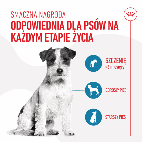 ROYAL CANIN Training Treats - przysmak dla psa - 110g - Galeria zdjęcie 7
