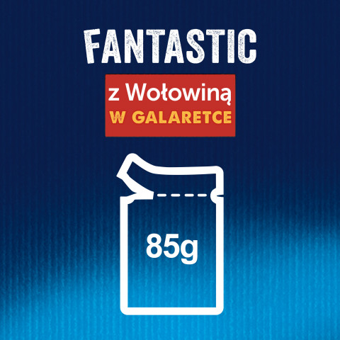 FELIX Fantastic Wołowina w galaretce - mokra karma dla kota - saszetka 100 g - Galeria zdjęcie 2