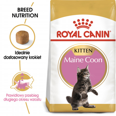 ROYAL CANIN FBN Maine Coon Kitten - sucha karma dla kociąt - 4 kg - Galeria zdjęcie 10