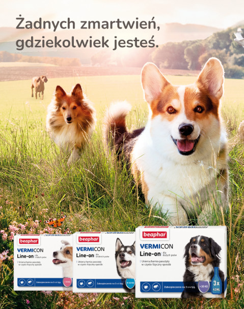 BEAPHAR VERMIcon Line-on Dog L - krople przeciw pasożytom dla psa - 3x4,5 ml - Galeria zdjęcie 11