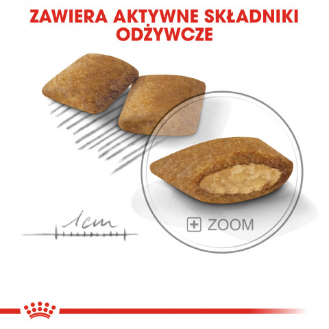 ROYAL CANIN Mini Exigent - sucha karma dla psów wybrednych - 3 kg - Galeria zdjęcie 9