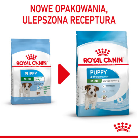 ROYAL CANIN Puppy Mini SHN - sucha karma dla szczeniąt - 2 kg - Galeria zdjęcie 10