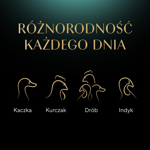 SHEBA Delicacy in Jelly Smaki Drobiowe - mokra karma dla kota - saszetka - 12x85 g - Galeria zdjęcie 10