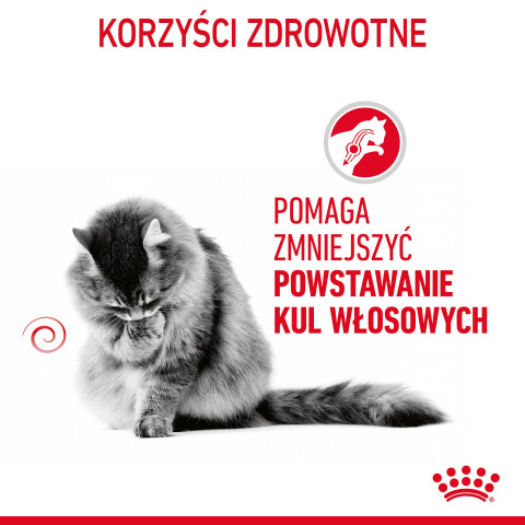 ROYAL CANIN FCN Hairball Care kawałki w sosie - mokra karma dla kota - 12x85 g - Galeria zdjęcie 3