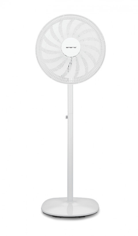 36200168|1|ProductImage|2020-01-15 17:03:18