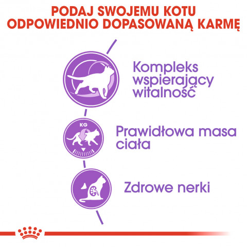 ROYAL CANIN FHN Sterilised 7+ - sucha karma dla kota dorosłego - 10 kg - Galeria zdjęcie 7