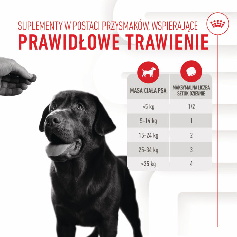 ROYAL CANIN Supplements Dog Digestion Adult - suplementy dla psa - 160g - Galeria zdjęcie 11