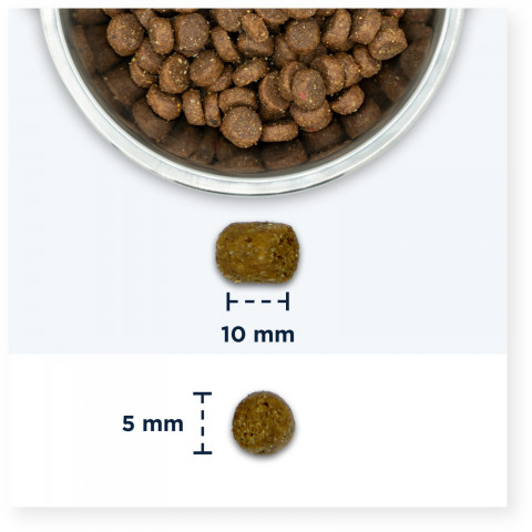 EUKANUBA Adult Kurczak - sucha karma dla kota - 2kg - Galeria zdjęcie 3