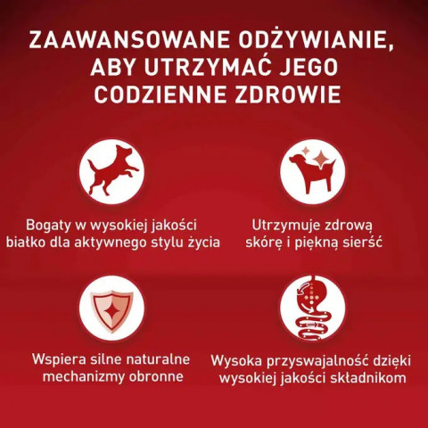 PURINA One Mini/Small Active Wołowina - mokra karma dla psa - 85g - Galeria zdjęcie 2