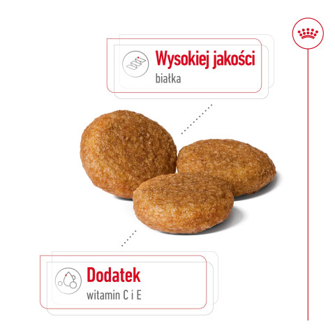 ROYAL CANIN SHN Medium Adult - sucha karma dla psa - 15 kg - Galeria zdjęcie 8