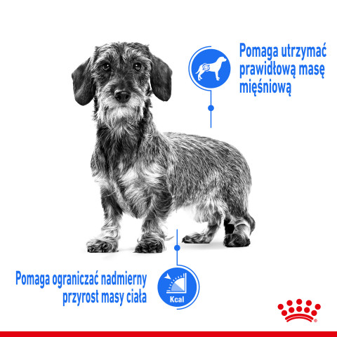 ROYAL CANIN CCN LIGHT WEIGHT CARE LOAF - mokra karma dla psa dorosłego - 12x85g - Galeria zdjęcie 4