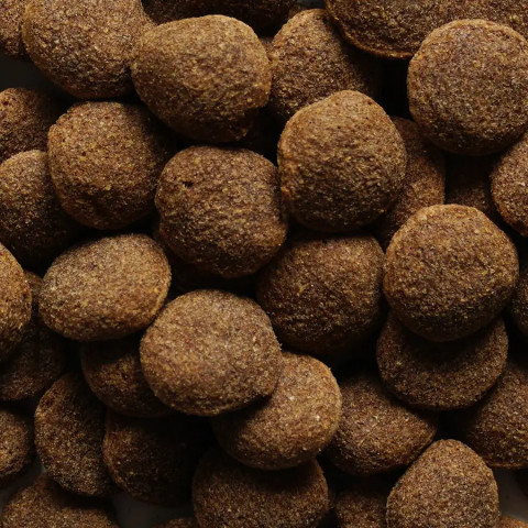 BIOFEED Nasz Pies średnie i duże Wołowina - sucha karma dla psa - 15 kg - Galeria zdjęcie 2