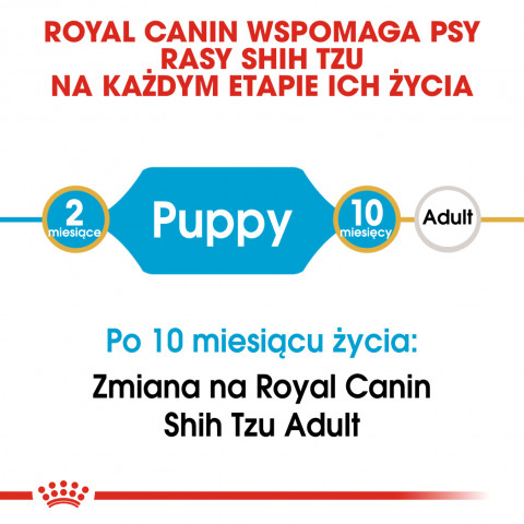 Royal Canin BHN Shih Tzu Puppy - sucha karma dla szczeniąt - 1,5 kg - Galeria zdjęcie 4