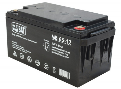 megaBAT MB 65-12.jpg