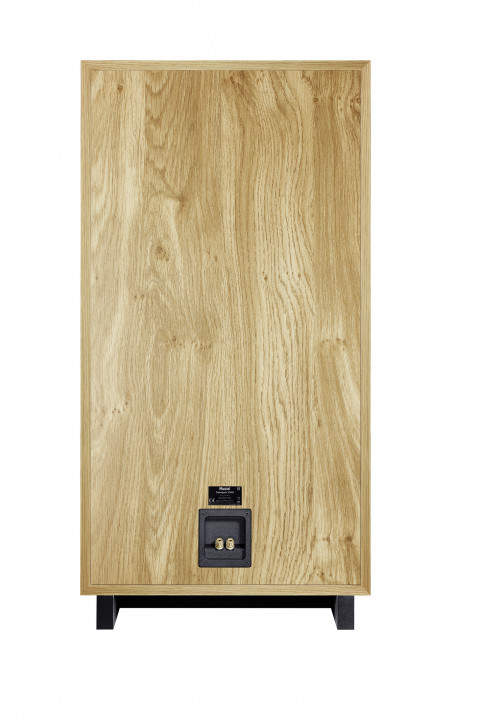 Magnat_Transpuls-1500-walnut-rear.jpg