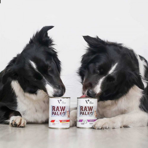 VET EXPERT Raw Paleo Adult Monoprotein Wołowina - mokra karma dla psa - 400g - Galeria zdjęcie 2