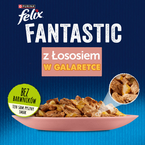 PURINA Felix Fantastic z łososiem w galaretce - mokra karma dla kota - 85 g - Galeria zdjęcie 2