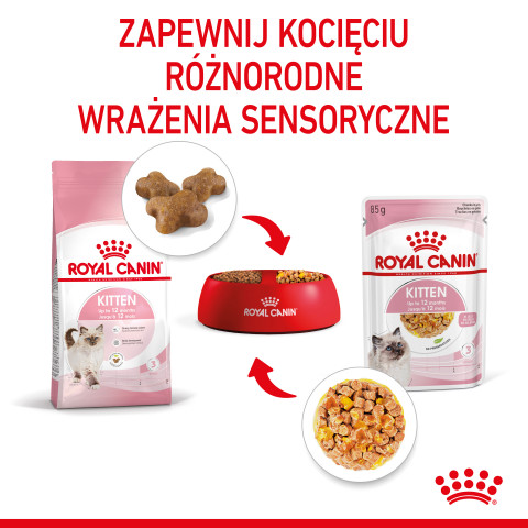 Royal Canin FHN Kitten Instinctive w galaretce - mokra karma dla kociąt - 12x85 g - Galeria zdjęcie 11