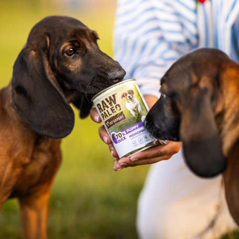 VET EXPERT Raw Paleo Puppy Monoprotein Kaczka - mokra karma dla szczeniąt - 400g - Galeria zdjęcie 2