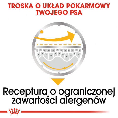 ROYAL CANIN CCN DERMACOMFORT LOAF mokra karma dla psa dorosłego - 12x85g - Galeria zdjęcie 7