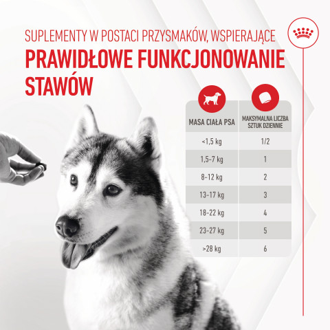 ROYAL CANIN Supplements Dog Joint & Ageing Adult - suplementy dla psa - 240g - Galeria zdjęcie 2
