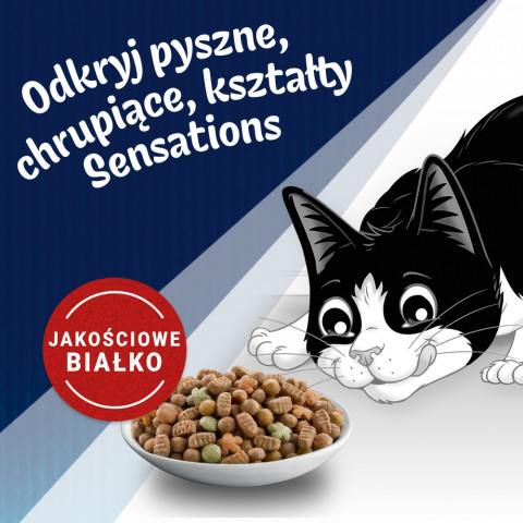 PURINA Felix Countryside Sensations Wołowina i kurczak z warzywami - sucha karma dla kota - 1kg - Galeria zdjęcie 3