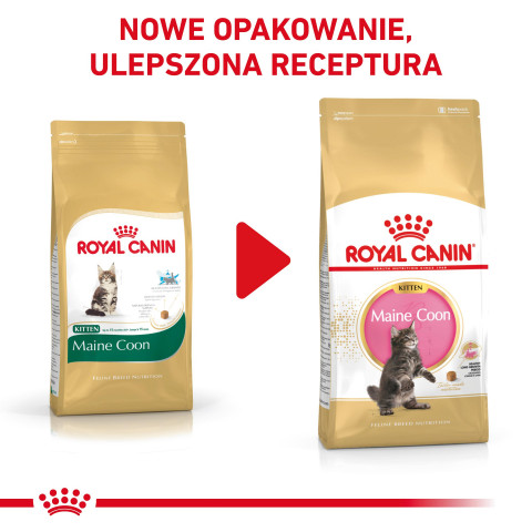 ROYAL CANIN FBN Maine Coon Kitten - sucha karma dla kociąt - 2 kg - Galeria zdjęcie 8