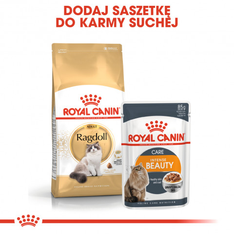 ROYAL CANIN Ragdoll FBN Adult - sucha karma dla kota - 400g - Galeria zdjęcie 6