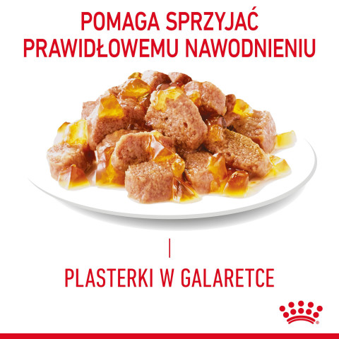 ROYAL CANIN FCN Light Weight Care w galaretce - mokra karma dla kota dorosłego - 12x85g - Galeria zdjęcie 8