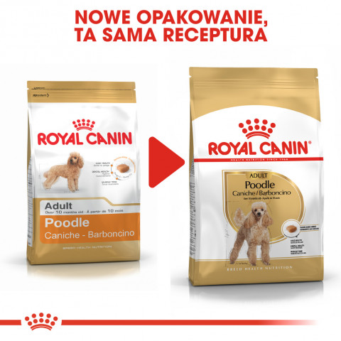 ROYAL CANIN Poodle 1,5kg - Galeria zdjęcie 9
