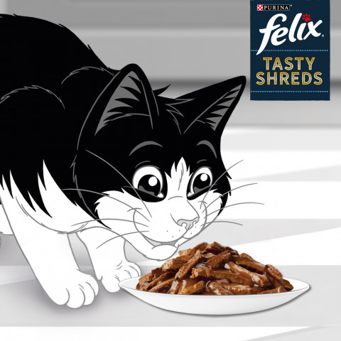FELIX Tasty Shreds z wołowiną i kurczakiem - mokra karma dla kota - 4x 80g - Galeria zdjęcie 4